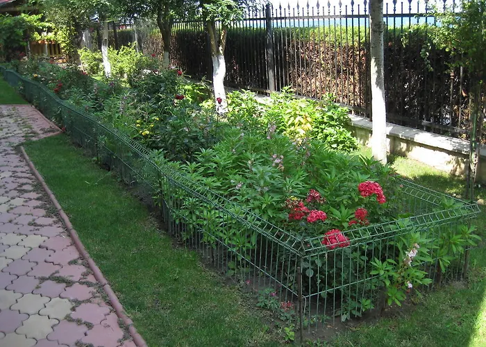 Gasthuis V3 Eforie Nord